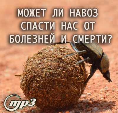 MP3 лекция Рузова В.О. «Может ли навоз спасти нас от болезней и смерти?» Много свободного времени? Вопрос только в том, на что ты его потратишь…​​