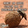MP3 лекция Рузова В.О. «Может ли навоз спасти нас от болезней и смерти?»