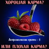 Рузов В.О. "Хорошая карма, или плохая карма?"
