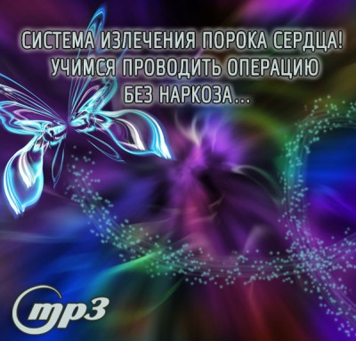 MP3-семинар Рузова В.О. «Система излечения порока сердца!  Учимся проводить операцию без наркоза…» Счастье требует, чтобы его искали. Оно не валяется под ногами. И как же нам самим пробудить в себе такое привлечение и помочь пробудить это привлечение у своих родных и близких?..​​