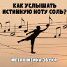 MP3 лекция Рузов В.О. «МЕТАФИЗИКА ЗВУКА, ИЛИ КАК УСЛЫШАТЬ ИСТИННУЮ НОТУ СОЛЬ?»
