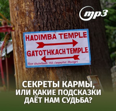 MP3 лекция Семёновой А.А. "Секреты кармы, или какие подсказки даёт нам судьба?" Судьба дает нам множество подсказок, но мы не понимаем их, потому что не относимся к ним серьёзно.