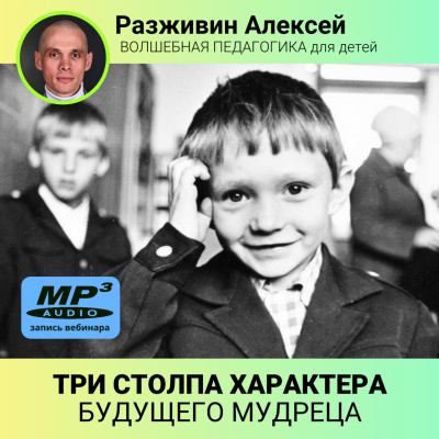 Разживин Алексей «ТРИ СТОЛПА ХАРАКТЕРА будущего мудреца» Закладываем фундамент позитивного характера ребёнка