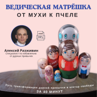 Алексей Разживин «ОТ МУХИ К ПЧЕЛЕ. Путь трансформации дурной привычки в нектар свободы ЗА 40 МИНУТ» 