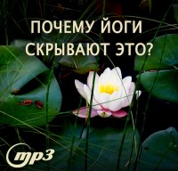 MP3 лекция Рузова В.О. «ПОЧЕМУ йоги скрывают ЭТО?»