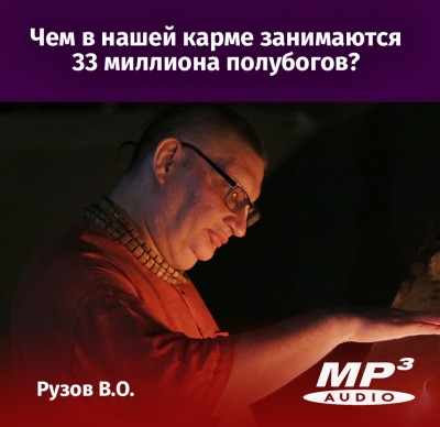 Рузов В.О. Чем в нашей карме занимаются 33 миллиона полубогов? 