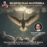 Ачинтья Чайтанья дас (Алексей Разживин) «ЧАТАКА — птица, пьющая из облаков» 