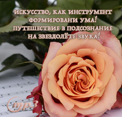 MP3 лекция Рузова В.О. «Искусство, как инструмент формирования ума! Путешествие в подсознание на звездолёте звука!» Как же навести в своём уме порядок, чтобы в результате нашего мышления вырастали ароматные цветы, а не колючий чертополох?​​