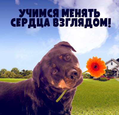 MP3 лекция Рузов В.О. «Учимся менять сердца взглядом» Как увидеть всех живых существ своими друзьями?