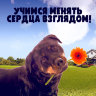 MP3 лекция Рузов В.О. «Учимся менять сердца взглядом»