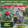 Вячеслав Рузов «КАК ПРОРАСТАЮТ СЕМЕНА НАШИХ ЖЕЛАНИЙ, И ЧТО НАМ С ЭТИМ ДЕЛАТЬ?»