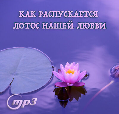 MP3 лекция Рузова В.О. «Как распускается лотос нашей любви» Чаранабжа-тала-джйотир-аруни-крита-бху-тала, что переводится как: Та, чьи лотосные стопы заставляют Землю светится малиново-красным цветом.​