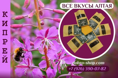 Все вкусы горного Алтая! Иван-чай (листья кипрея), набор 6 вкусов (оригинальный, с мятой, с душицей, с мелиссой, с шиповником, с имбирём) Настоящая универсальная домашняя аптечка с целебными свойствами.