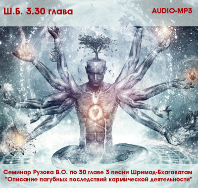 Рузов В.О. "Семинар по 30 главе 3 песни Шримад-Бхагаватам mp3" 