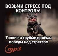 MP3 лекция Семёновой А.А. "Возьми стресс под контроль! Тонкие и грубые приёмы победы над стрессом"