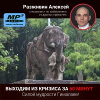 Алексей Разживин «Выходим из кризиса за 60 минут!»