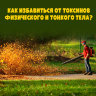 MP3 лекция Рузов В.О. «Как избавиться от токсинов физического и тонкого тела?»
