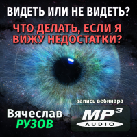 Вячеслав Рузов «ВИДЕТЬ ИЛИ НЕ ВИДЕТЬ? ЧТО ДЕЛАТЬ, ЕСЛИ Я ВИЖУ НЕДОСТАТКИ?»
