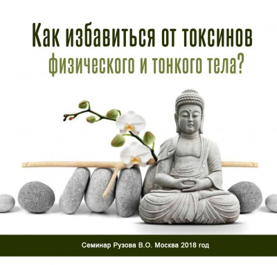 «Как избавиться от токсинов физического и тонкого тела?» Семинар Рузова В.О. Отправляемся в путешествие по тонкому телу!