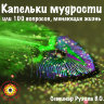 «Капельки мудрости или 100 вопросов, меняющие жизнь». Семинар Рузова В.О.